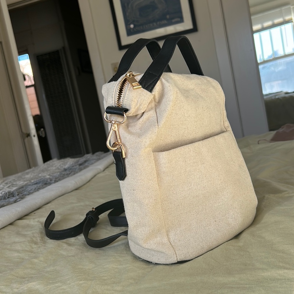 Gold and Canvas Purse/Backpack